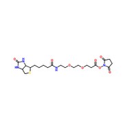 CAS 596820-83-6 |9-biotinlaMino-4,7-dioksanonanska kiselina N-hidroksisukcinimidil ester
